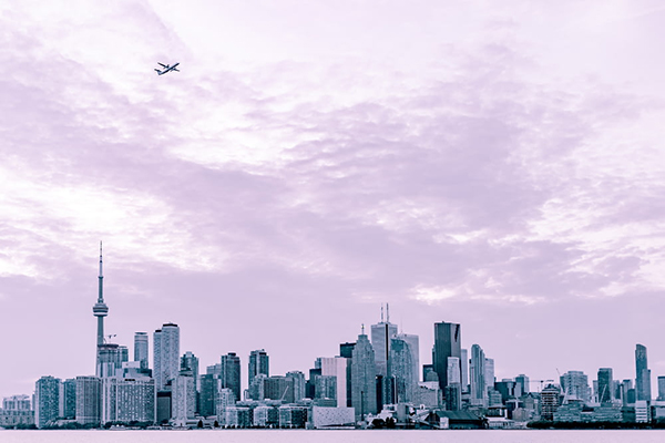 photography of city scape under plane at daytime.jpg